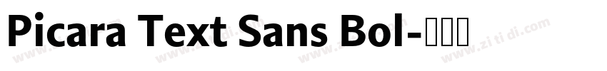 Picara Text Sans Bol字体转换 Picara Text Sans Bol字体转换